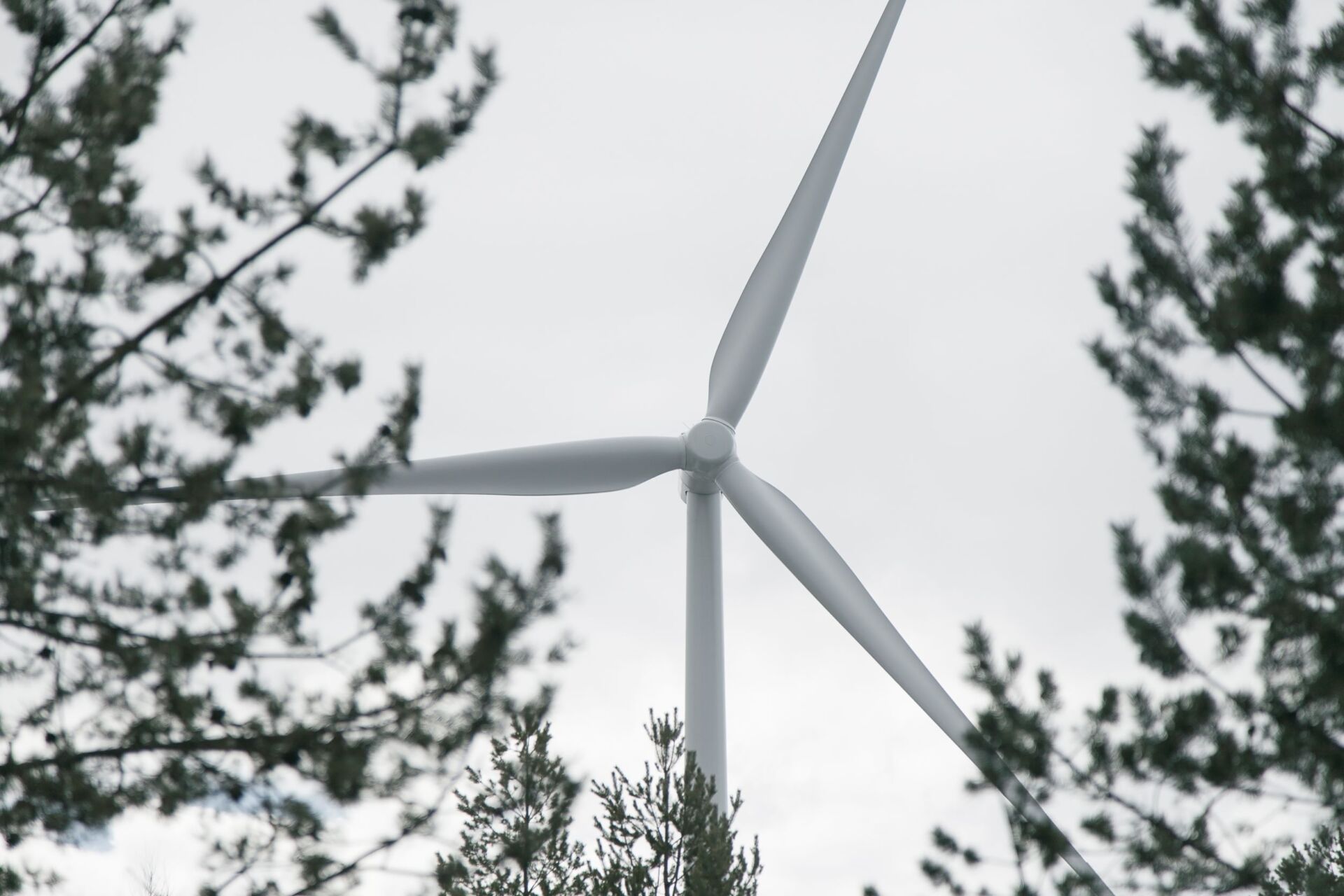 Komissiolta toimintasuunnitelma tuulivoimateollisuuden vahvistamiseksi