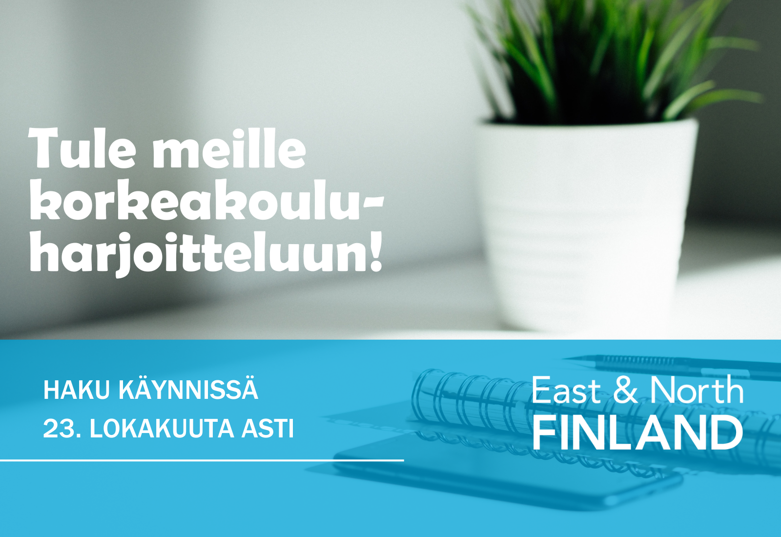 Harjoittelija Itä- ja Pohjois-Suomen EU-toimistoon Brysseliin