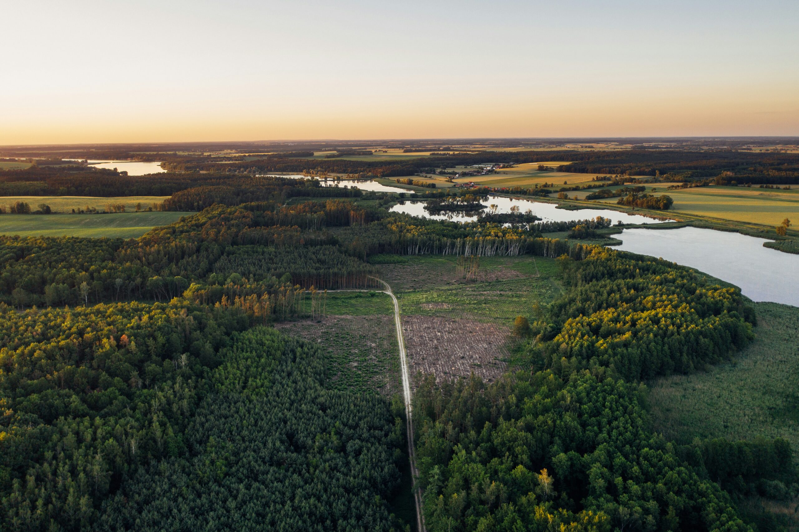 EU:n metsäkatoasetuksen tarkistuksesta saavutettu poliittinen sopu